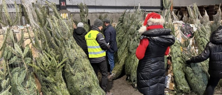 400 choinek za odpady – sukces akcji w Myślenicach!