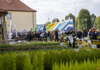 Piknik Ekologiczny: 4 tysiące sadzonek trafiło do mieszkańców Gminy Myślenice